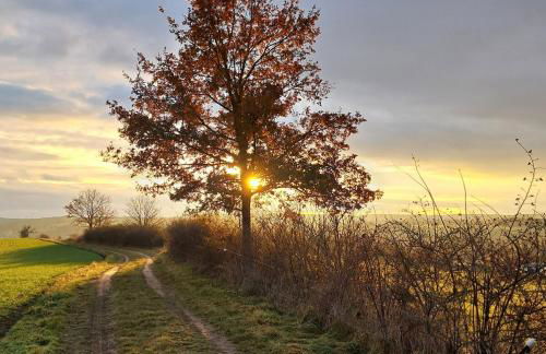 Gemütliche Ferienwohnung mit Sauna und Balkon im Zentrum von Bad Elster - Photo 12