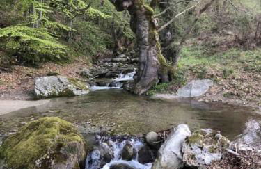 Guest house Elatochori - Foto 40