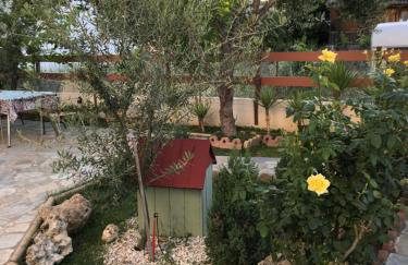 Sea La Vie! - Photo 26