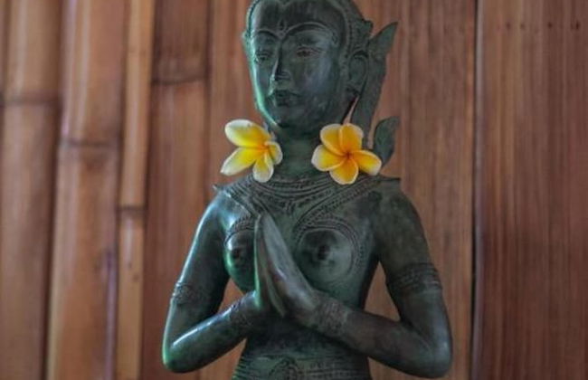 Luxury Villa Rose and Villa Rosebud - Foto 33