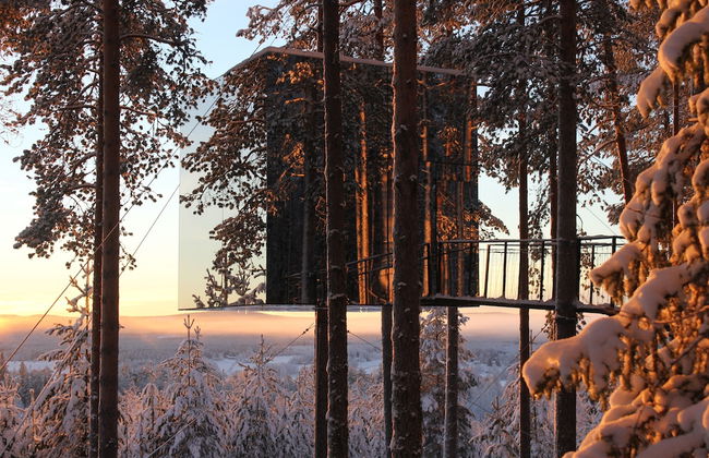 Tree Hotel - Foto 28