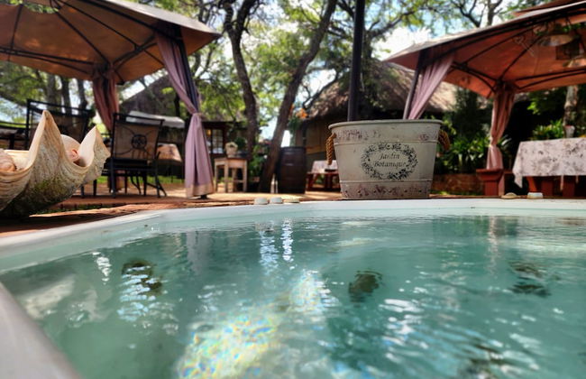 Buyskop Lodge - Foto 43