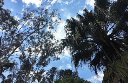 Casa de Campo & Home Office - Itapecerica da Serra , perto do Embu das Artes - Photo 62