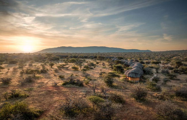 Safari privado de 2 o 3 días por la Reserva Nacional de Samburu - Foto 3
