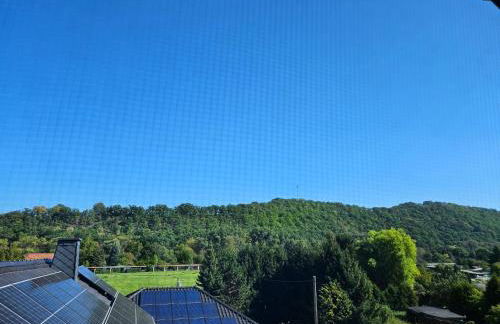 Apartments am Saalebogen mit Gartenterrasse, Grillkamin und freie Parkplätze - Foto 50