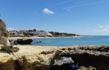 Jeannie's Oura Estrela - Foto 37