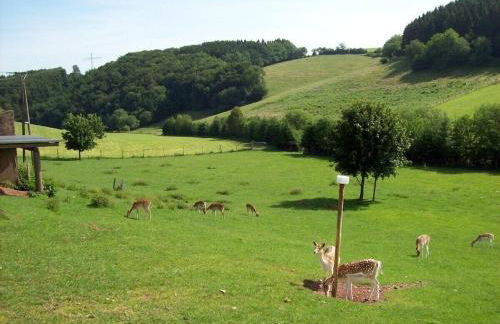 Hof Görrespesch-Ferien im Herzen der Schneifel - Foto 8