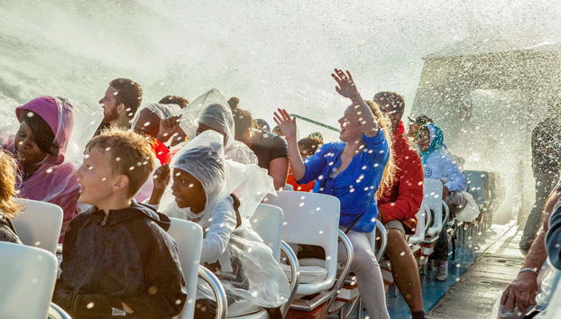 Enjoy the experience