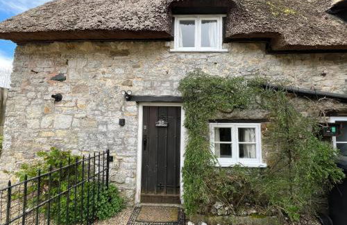 Little Ivy - Photo 2