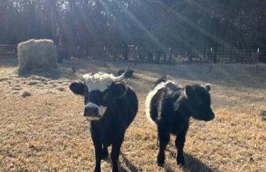 Texoma Getaway - Tiny House on a Pharm - Foto 32
