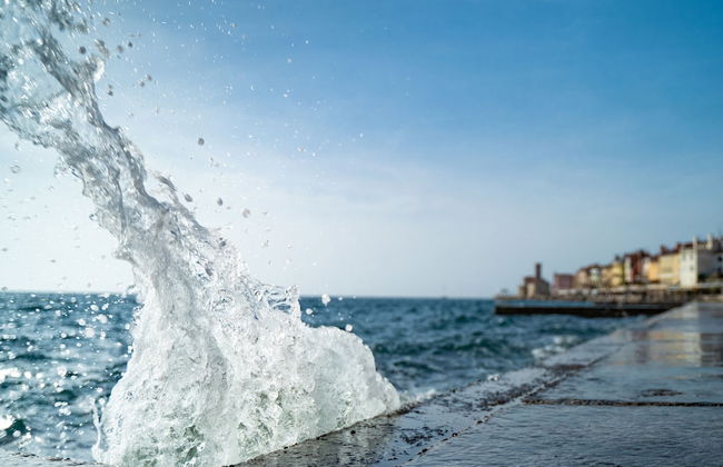 Apartments Vila Piranesi - Foto 25