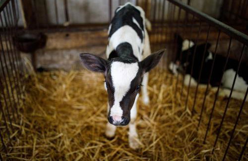 Agriturismo Carovane - Photo 10