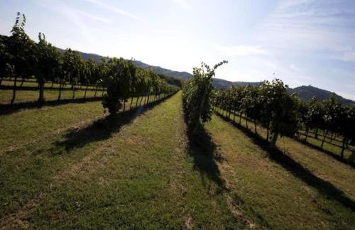 Heart of Emilia-romagna Apartment - Foto 70