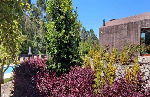 Amazing Viana Do Castelo Villa 6 Bedrooms Villa Castello Private Pool - Foto 31