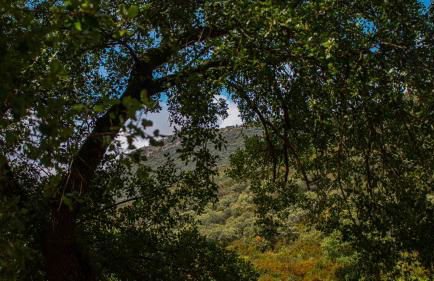 Casa Rural Valle de los Molinos - Foto 50