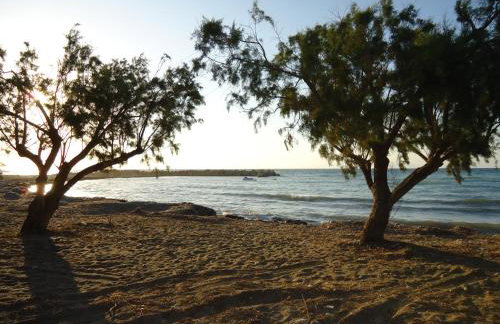 Alexandra Homestay - Foto 71