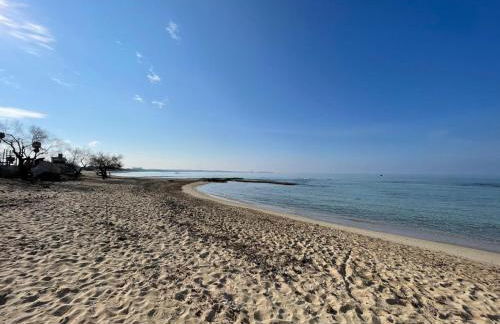 Le conchiglie relax in spiaggia - Foto 1