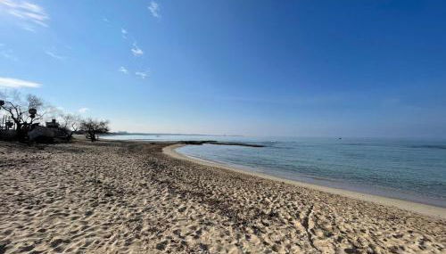 Le conchiglie relax in spiaggia - Foto 1