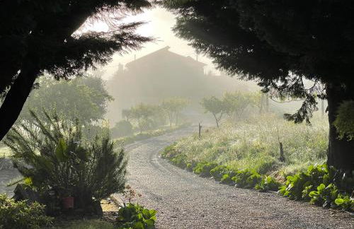 Solar Alegria - Foto 73