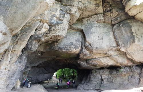 Apartment on the Ground Floor on the Wachberg - Foto 25