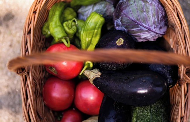 Vinte-Quinta da Boavista - Photo 42