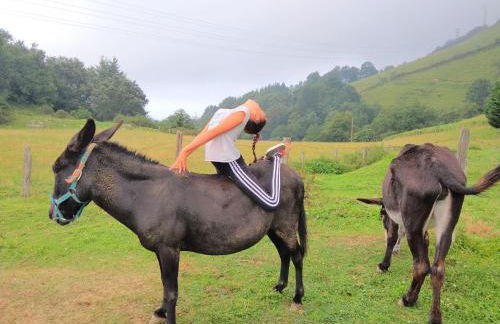 CHILL & ZEN - Caserío Itxaiz - - Photo 21