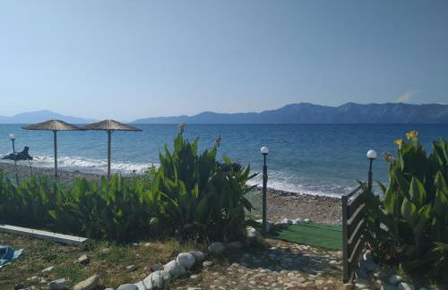 Luxury Beachfront Villa Poseidon Artemisiou Παραθαλάσσια Βίλα στην βόρεια Εύβοια για φιλοξενία 9 ατόμων - Foto 47