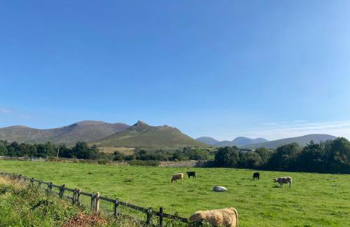 Spelga View - Foto 74