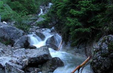 Willa Jagoda duży domek w górach 12-15 osób,jacuzzi, kominek,bilard - Foto 40