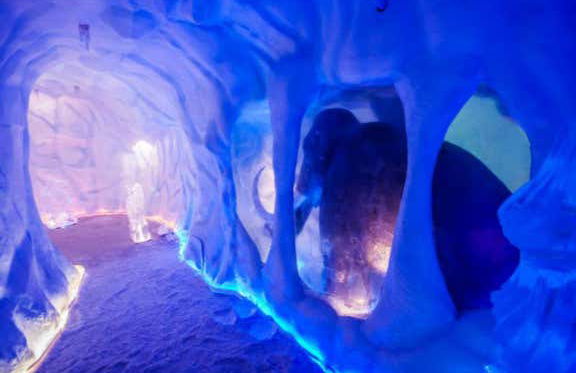 Biglietti per Mundo Gelado do Capitão - Foto 6