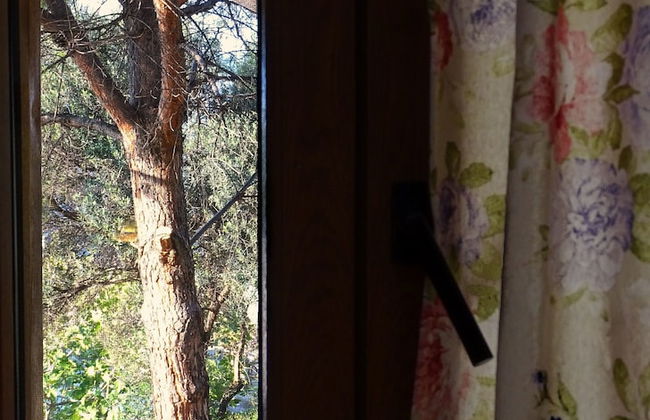 Sofia Limeni - Photo 51