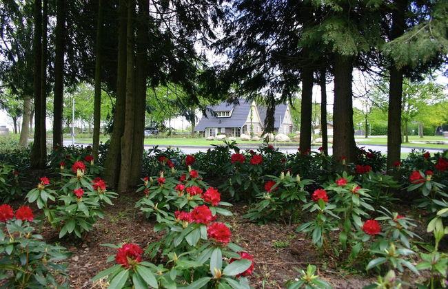 Relaxing Sauna Villa Retreat - Photo 43