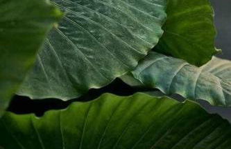 Soulhouse Marbella, exclusiva villa galardonada - Foto 17