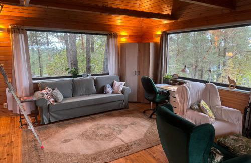 wietrznie-wichrowe wzgórze - Foto 52