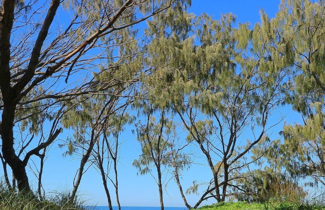 Lilys Studio - Photo 11