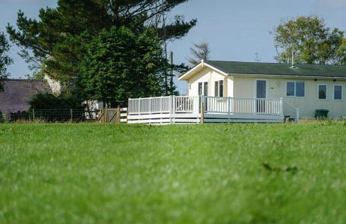 3 Bed in Dinas oc-lazyno - Photo 37