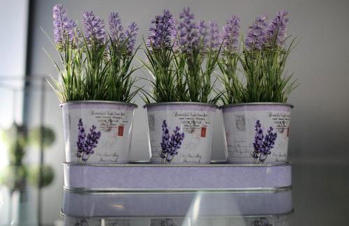 RH Casas de Campo Design - Foto 66