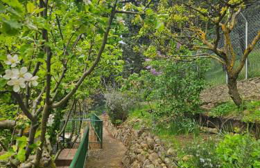 Casa Las Bailas - Foto 28