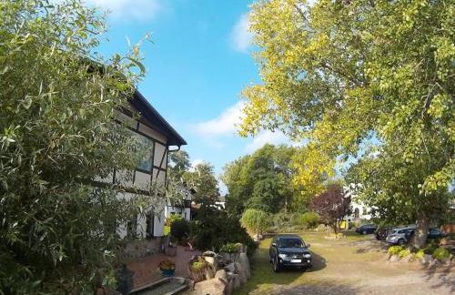 Gutspark Seeblick - Foto 4