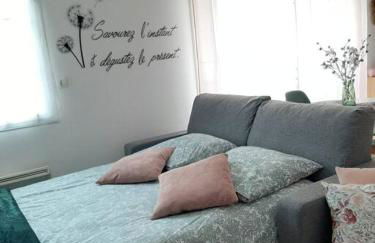 Proche aéroport à pied, Le Rêve Rose. - Foto 9