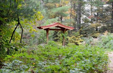 Cozy Lakefront Cabin Rental in the Woodlands of Empire, Michigan - Foto 8