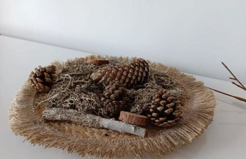 Tierra y Mar - Foto 25