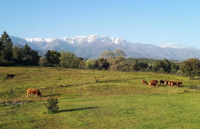 Sakura Vera - Foto 61