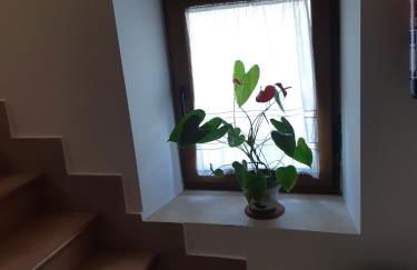 Casa Antonio y Benina - Photo 28