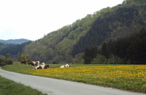 Wohnung im Sauerland mit Terrasse - Foto 26