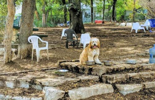 Quiet neighborhood steps away from Downtown stores - Foto 32