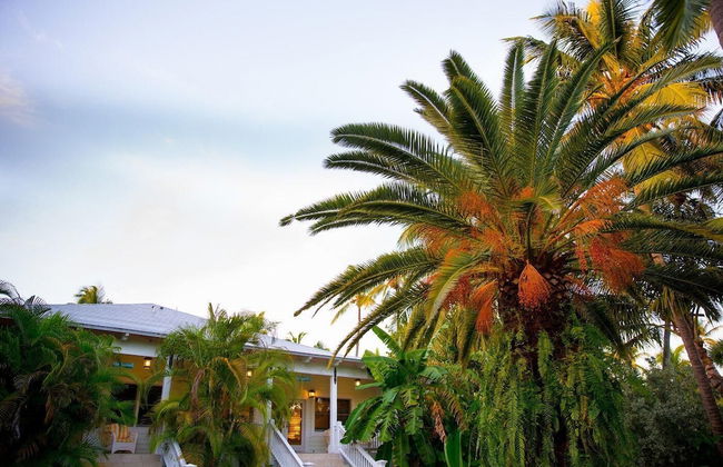 The Caribbean Resort Canary Island Palm North - Foto 15