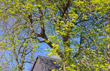 Górska Otulina - Foto 16