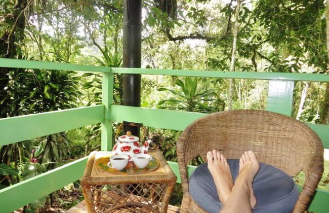 Mindo Eco chalet - Foto 24