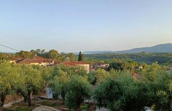 Country Nest - Foto 9